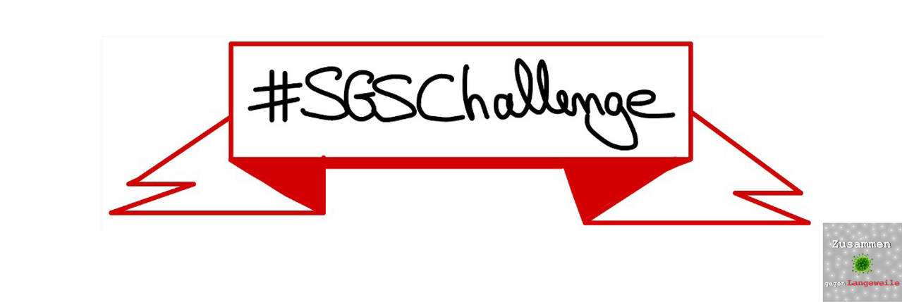 SGS Challenge