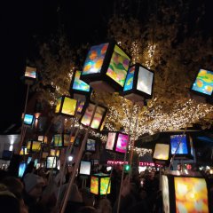 St. Martinszug