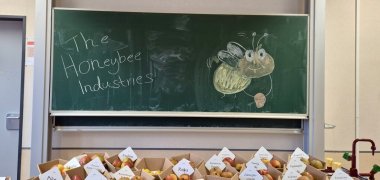 Gymnasium Straelen
