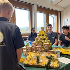 Gymnasium Straelen