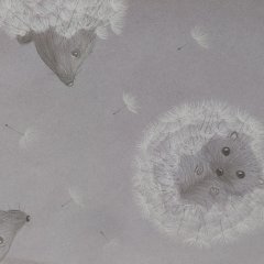 Metamorphose