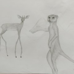 Elefanten