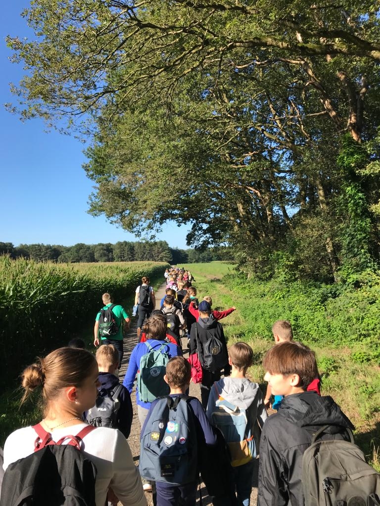 Wandern