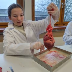 Schulsanitäterinnen