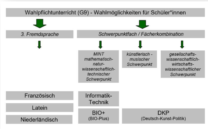 Wahlpflicht